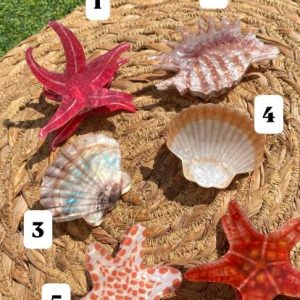 Pinzas Del Pelo Playa